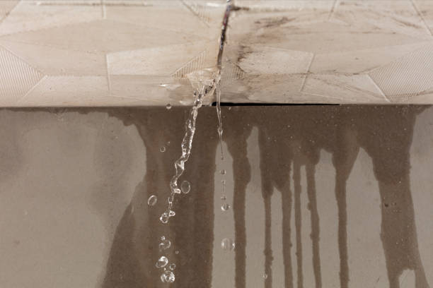 Professional Structural Drying technician working in Warnock, OH